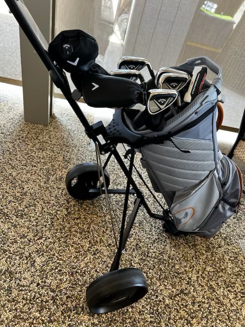 Golf-bag-walker