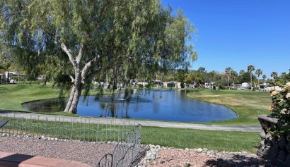 pond-view