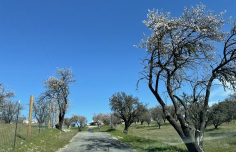 IMG_1387
