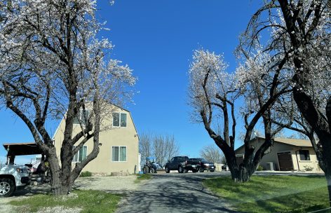 IMG_1389