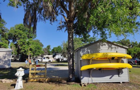 campsite3