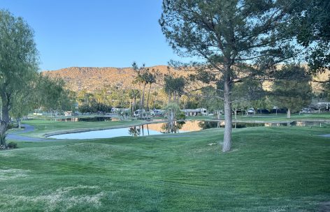IMG_7724