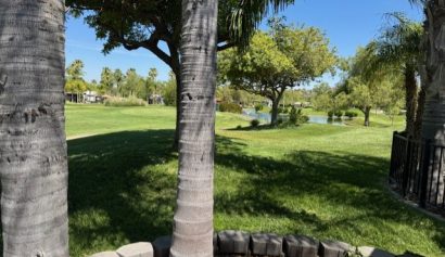 388-trees-new