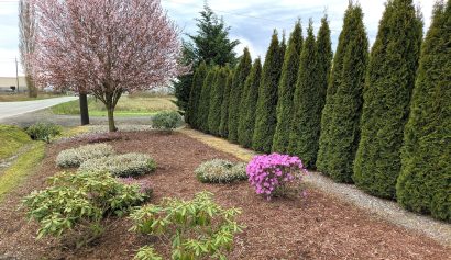 ESRV-Flower-Bed