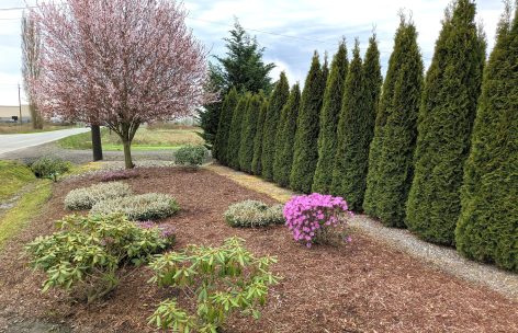 ESRV-Flower-Bed