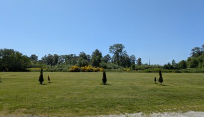Field