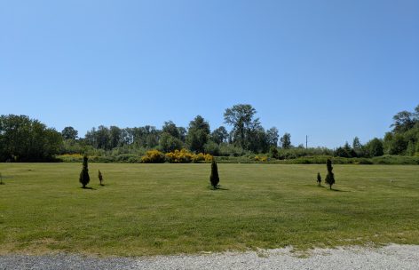 Field