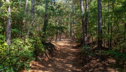 DJI_0764-2-scaled-1