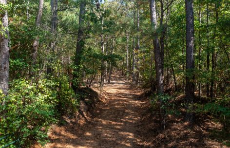 DJI_0764-2-scaled-1