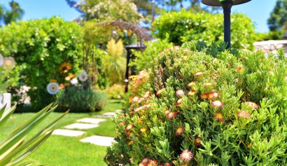 Front-yard