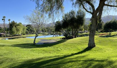 IMG_3469
