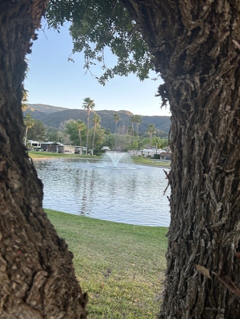 70-tree-view