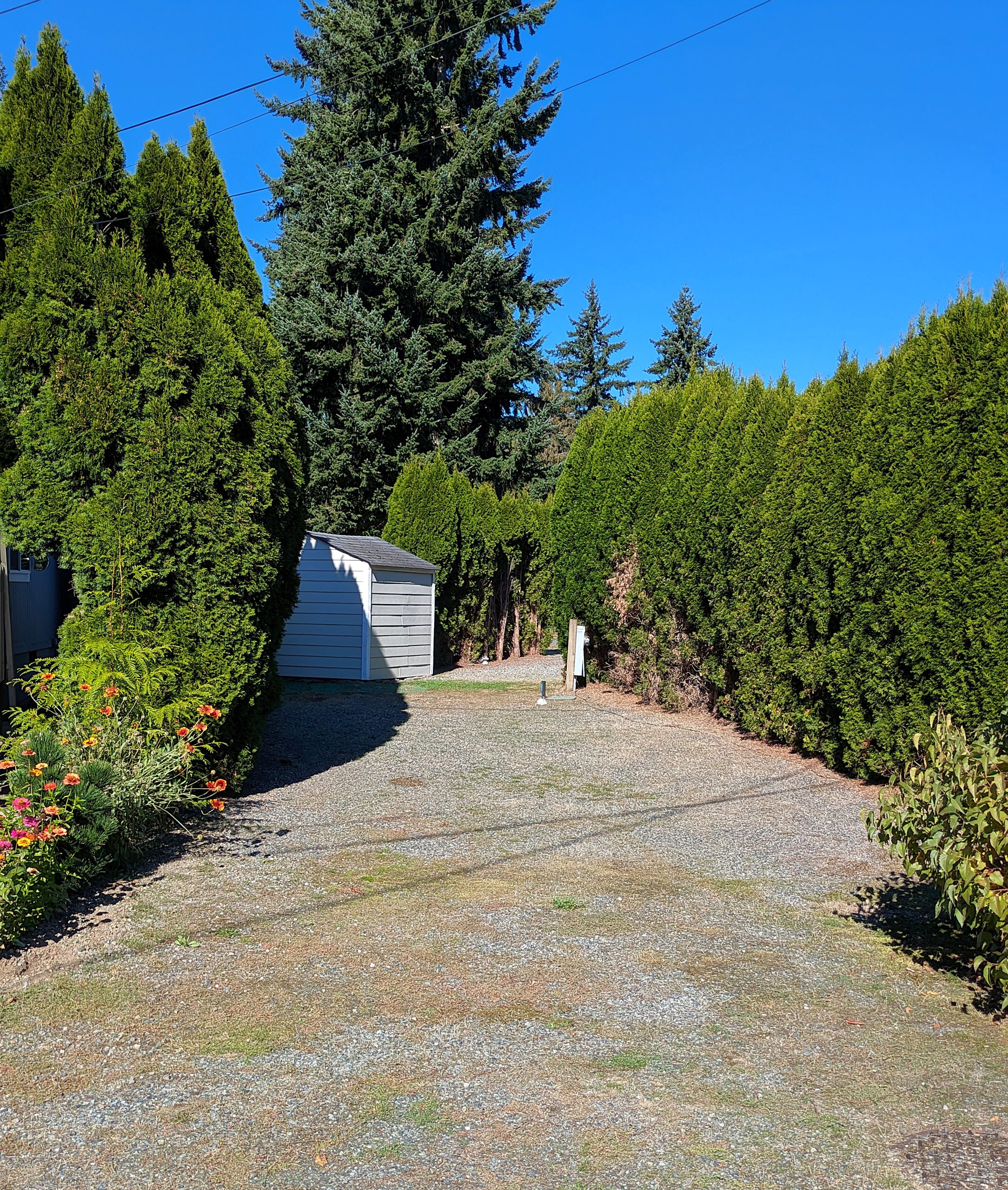 PXL_20251006_204011823