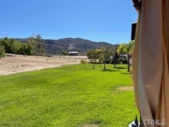 green-space-at-rear-of-lot-316